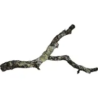 HOBBY Terraristik Terrarium Korktronchos kurktakken voor reptielen en slangen S | M | L L - 75-100CM