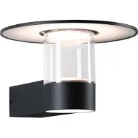 Paulmann LED buitenwandlamp Sienna, met schemersensor en bewegingsmelder (HF), zeewaterbestendig