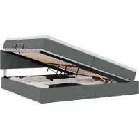 vidaXL Opbergbed met matras Donkergrijs 200 x 200 cm fluweel