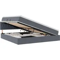 vidaXL LED opbergbed met matras Donkergrijs 200 x 200 cm Fluweel