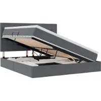 vidaXL Opslag bed met matras Donkergrijs 160 x 200 cm Fluweel