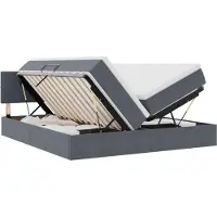 vidaXL LED opbergbed met matras Donkergrijs 200 x 200 cm Fluweel