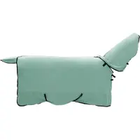 vidaXL Paardendeken Bijzondere Groen 135 cm Polyester