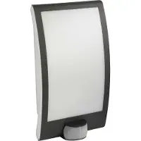 Steinel Wandlamp buiten met bewegingssensor L 22 S, zwart, Roestvrij staal, Modern