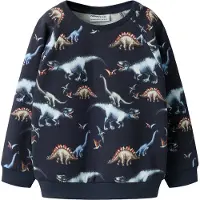 Name it Sweatshirt 'NMMBERTIL' lichtblauw / donkerblauw / olijfgroen / oranje