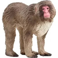 Schleich Japanse makaak