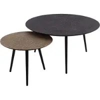 Zijlstra Salontafelset Mariola-metallic/grijs - - Salontafel - Grijs - Metaal