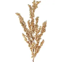 Viana Bessentak met gouden bessen Kersttak 70cm