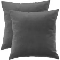 Ferocity - Set fluwelen kussens - 2 kussens met hoes - bankkussen voor de woonkamer, slaapkamer - 45 x 45 cm - Velvet - Grijs
