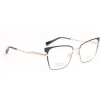 Ana Hickmann Optical Frame HI1252 12A 54