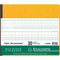 Exacompta Piqûre Tête paresseuse 27x32cm 30 colonnes/1 page 80p
