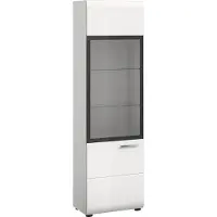 Xonox Home Ice vitrinekast 1 glazen deur wit, hoogglans wit.
