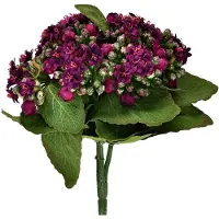 Viana Flaming Käthchen Kalanchoë kunstpaars 24cm