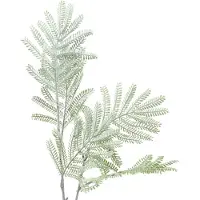 Viana Siertak mimosa groen frost effect 63cm