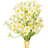 Viana Kunstmatige kamille als boeket bloemen voor natuurlijke en onderhoudsv