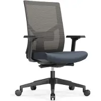Schaffenburg 110-NL Ergonomische stoel Synchroonmechanisme Gaas, stof In hoogte verstelbare armleuning en zitting Grijs 130 kg 580 x 668 x 1044