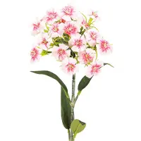 Viana Baardanjer kunstanjer Perzik Roze 52cm