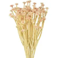 Viana Italiaanse Strobloem Kunstbloemen Roze L28cm, 12 stuks