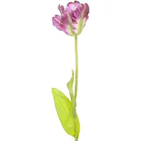 Viana Kunstbloem papegaaitulp kunstdecoratietulp paars 63cm