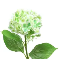 Viana Hortensia kunstgroen, wit 68cm