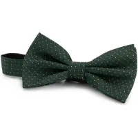 Gents - Strik zijde print stippel - Zijde - Groen - Maat One/One
