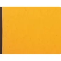 Exacompta Register 25x32cm - 11 kolommen op 1 pagina 24 lijnen 80 blad - Geassorteerd - 6110E