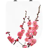 Cornat Wc-Bril Thermoplast Sc Sakura Xx - KSDSC101