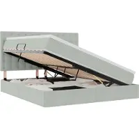 vidaXL Opslag bed met matras Lichtgrijs 180 x 200 cm Fluweel