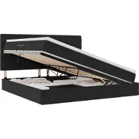 vidaXL Opslag bed met matras met hoofdeinde Zwart 200 x 200 cm Fluweel