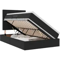 vidaXL Opslag bed met matras met hoofdeinde Zwart 120 x 200 cm Fluweel