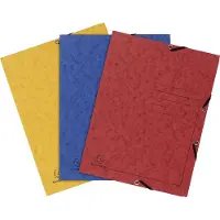 Exacompta 3-klepsmap 55432E Kleurenassortiment Gewafeld karton 24 Stuks