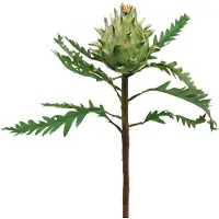 Viana Artisjok Artisjok Groen Deco Herfst Ø7.5cm H43cm