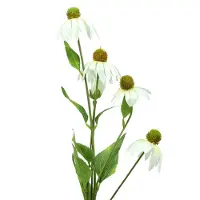 Viana Echinacea bloem kunstmatig wit 90cm