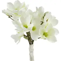 Viana Magnolia bos wit 40cm 5 st