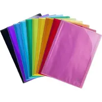 Exacompta Showalbum 85670E A4 Kleurenassortiment 20 hoezen 20 Stuks