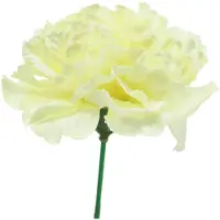 Viana Anjerbloesem wit Ø9cm 12st