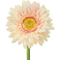 Viana Kunstmatige gerbera's, abrikooskleur, 47 cm, 6 stuks, 6 Stück