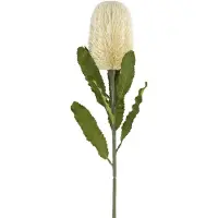 Viana Kunstbloem Banksia Wit Crème Kunstmatige Exoten 64cm