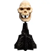 Weta Workshop Lord of the Rings - Skull of Lurtz Minuatuur