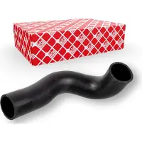 FEBI BILSTEIN 174431 Radiateurslang