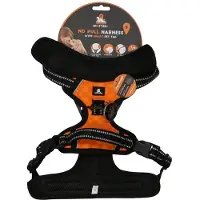Spotted! Pro Harnas Oranje S