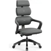 Diablo - Bureaustoel V-MODULAR - Ergonomische bureaustoel verstelbaar - Shadow Grey