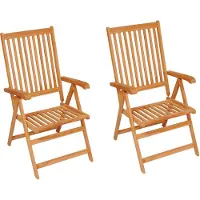 vidaXL Tuinstoelen 2 st met antracietkleurige kussens massief teakhout