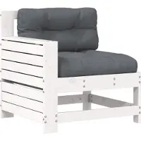 vidaXL Tuinbank met armleuning en kussen massief grenenhout wit