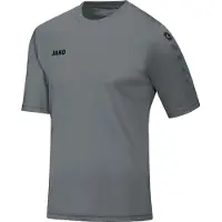 Jako Team SS Shirt Senior Grijs 3XL