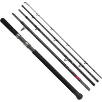 Shimano Hengel, STC XR Monster Spinhengel, zilver, 2.40 m / 28-110 g, zilver