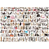 Eurographics Katzenwelt