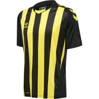Hummel Functioneel shirt geel / zwart