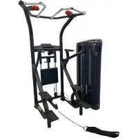 Inspire DUAL Station Chin Up