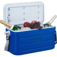 Relaxdays koelbox - 20 l - 29 x 52,5 x 26,5 cm - onderweg - schouderband en handvat - niet elektrisch